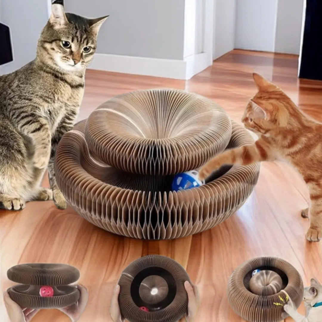 2-in-1 Kattenspeeltje