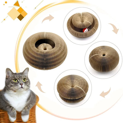2-in-1 Kattenspeeltje