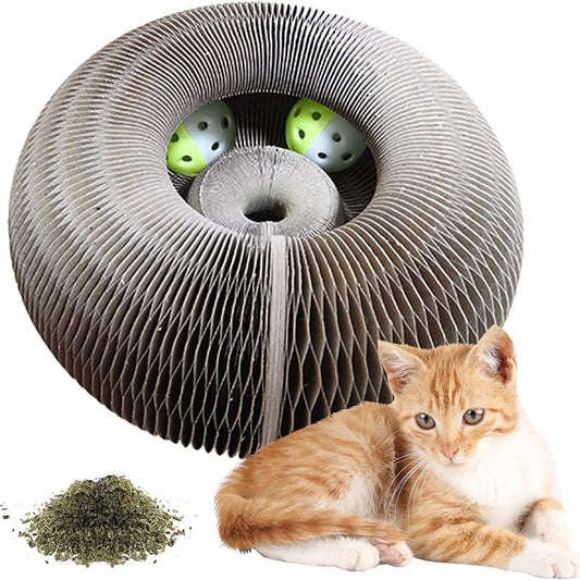 2-in-1 Kattenspeeltje